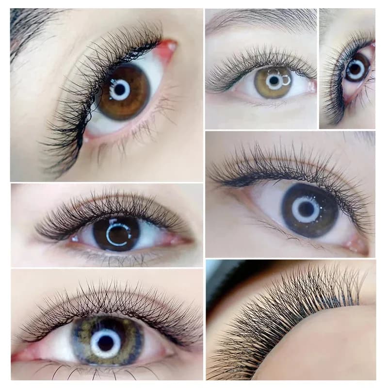 Faux cils en bouquets préformés Volume Fan 3D forme W