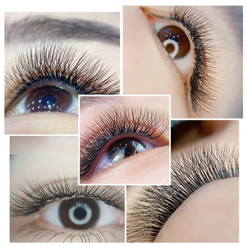Extensions de cils préfabriqués en éventail 4D forme W florale