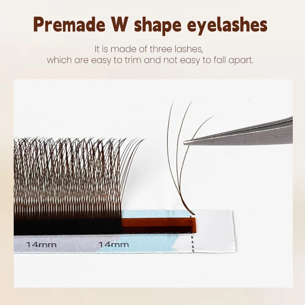 Extensions de cils pré-fanés Volume en forme W 3D Noir-Brun