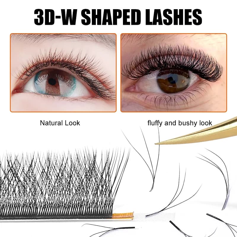 Éventails volumateurs préfabriqués 3D forme W