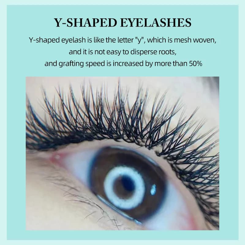 Cils éventails préfabriqués en forme W, 3D-8D, doux et naturels
