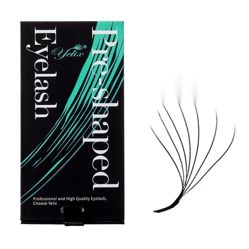 Éventails préformés 4D en forme W Courbure D 0.07mm